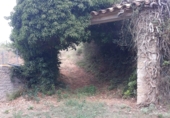 Land suitable for development for sale on Carretera de Corca a Bordils, Madremanya, ref: TR43144 photo