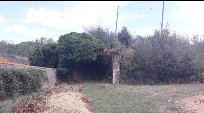 Gerona - Madremanya - 5500m2