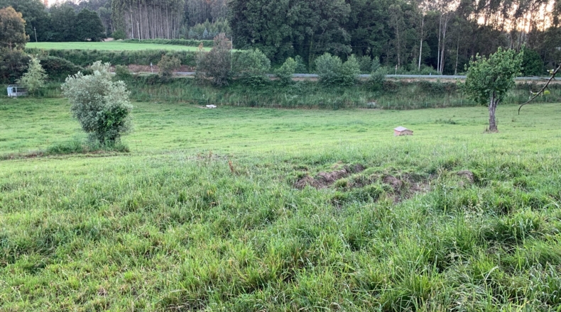 La Coruña - Melide - 10000m2