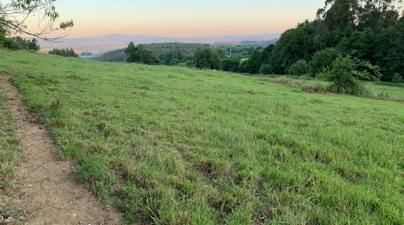 La Coruña - Melide - 10000m2