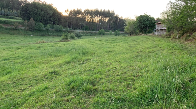 La Coruña - Melide - 10000m2