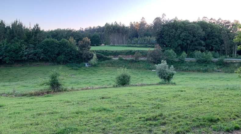 La Coruña - Melide - 10000m2