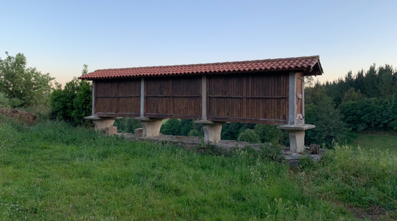 La Coruña - Melide - 10000m2