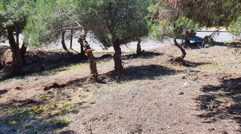 Comunidad de Madrid - Las Cuestas - 2190m2