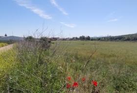 El Puente del Arzobispo 35000&nbsp;m² 