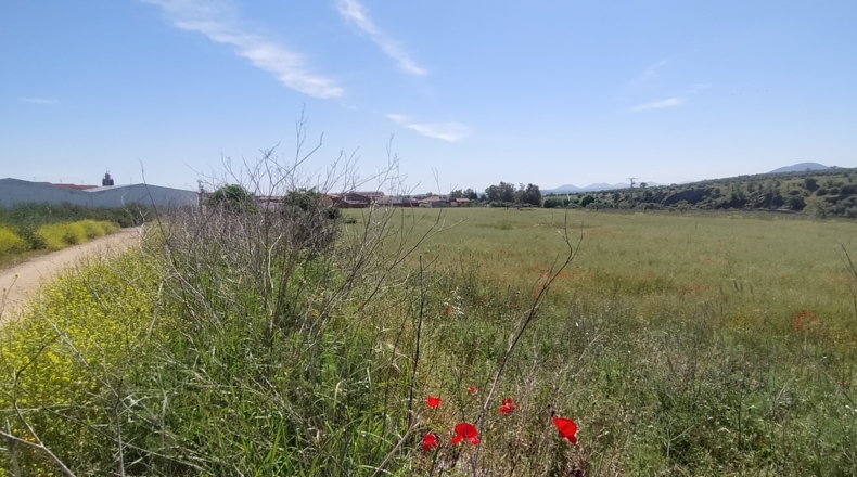 Toledo - El Puente del Arzobispo - 35000m2