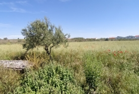 El Puente del Arzobispo 35000&nbsp;m² 