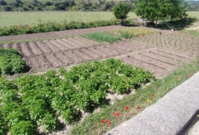 El Puente del Arzobispo 35000&nbsp;m² 