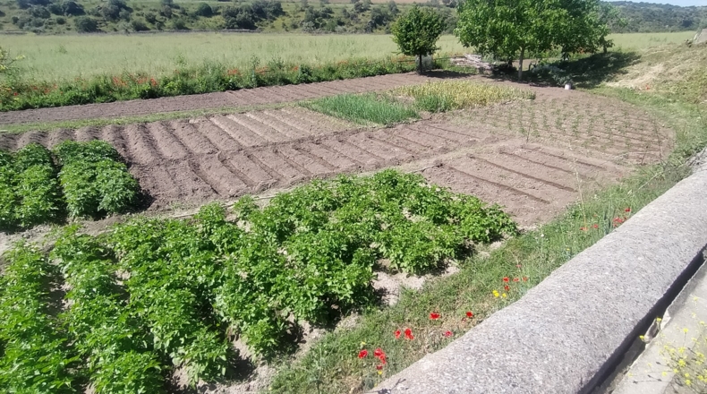 Toledo - El Puente del Arzobispo - 35000m2
