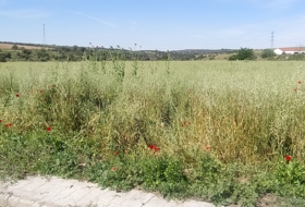 El Puente del Arzobispo 35000&nbsp;m² 