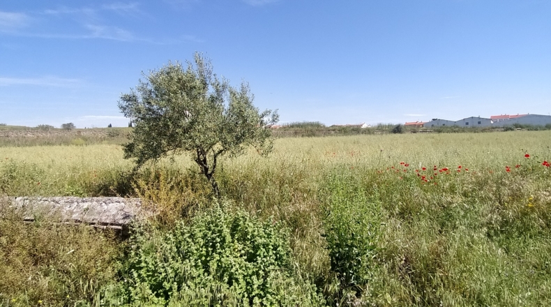 Toledo - El Puente del Arzobispo - 35000m2