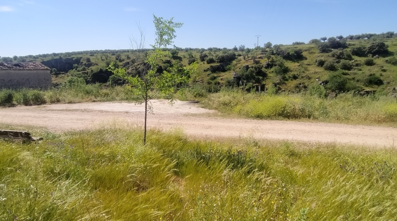 Toledo - El Puente del Arzobispo - 35000m2