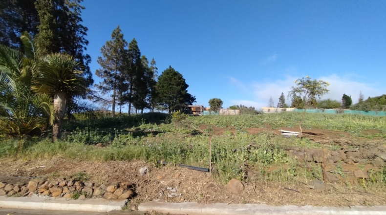 Las Palmas - Majadales - 2667m2