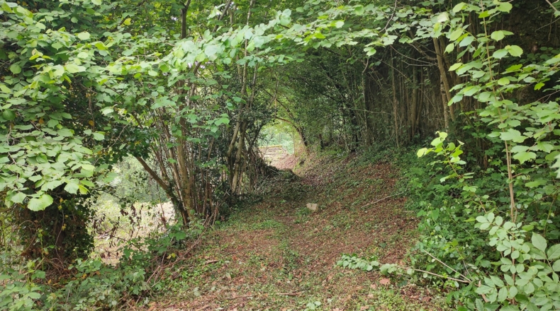 Cantabria - San Pedro del Romeral - 2444m2