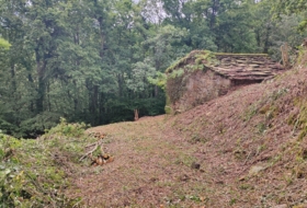 Foto 11