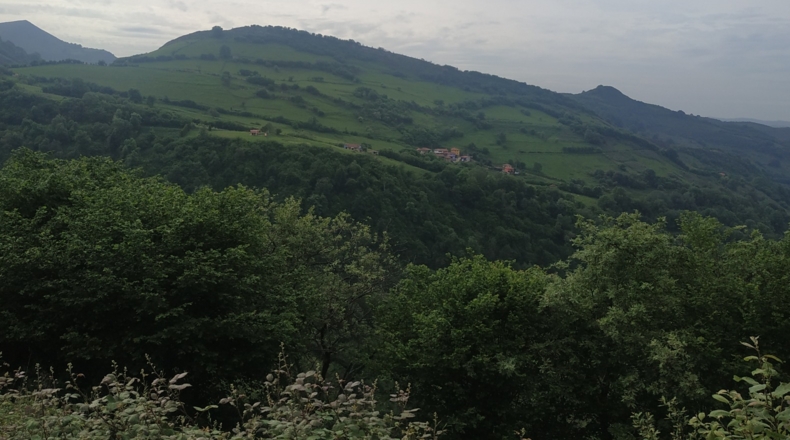 Asturias - Las Veigas - 2600m2