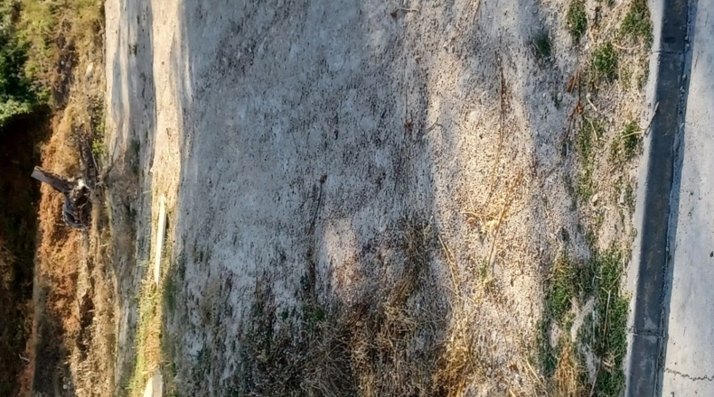 Barcelona - les Palmeres - 625m2
