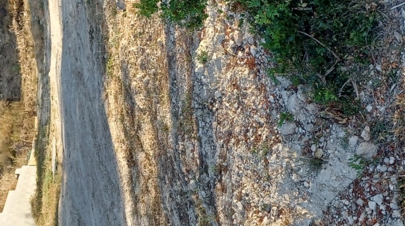 Barcelona - les Palmeres - 625m2
