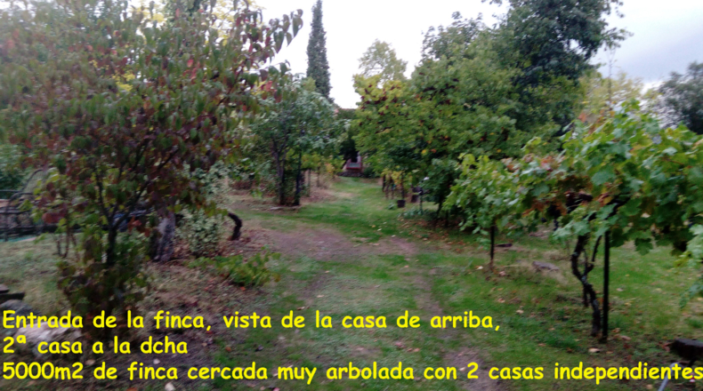 Ávila - Casavieja - 5000m2