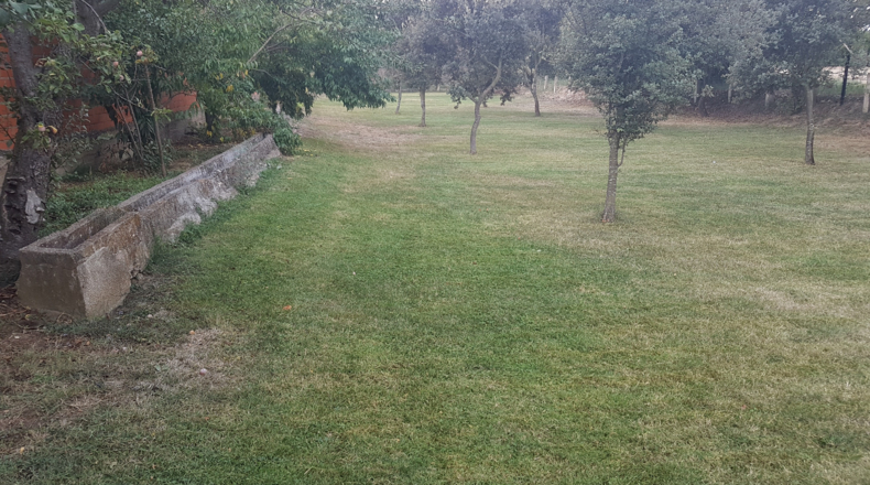 Salamanca - Ciudad Rodrigo - 3500m2