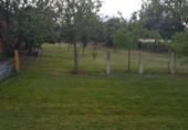 Rural estate for sale on HUERTAS DE LA TORRECILLA, Ciudad Rodrigo, ref: TR43969 photo