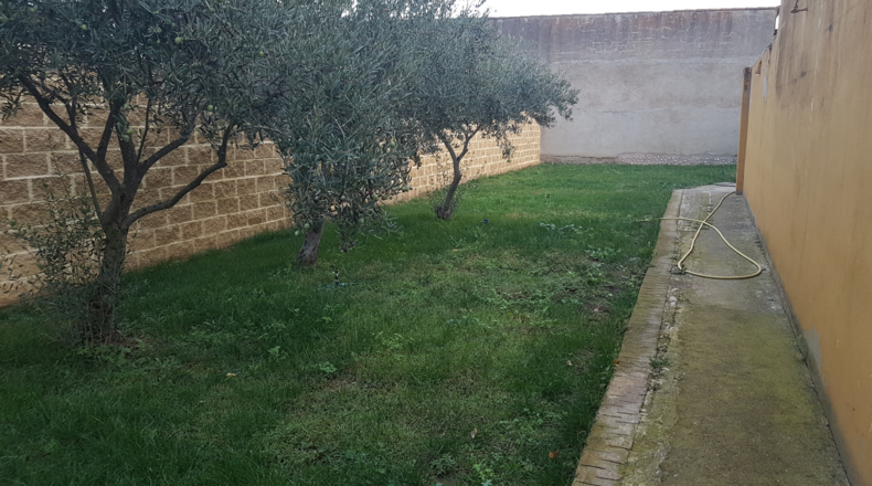 Salamanca - Ciudad Rodrigo - 3500m2