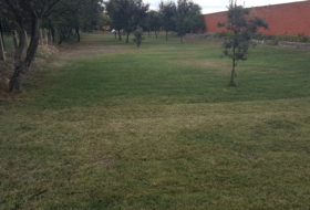 Ciudad Rodrigo 3500&nbsp;m² 