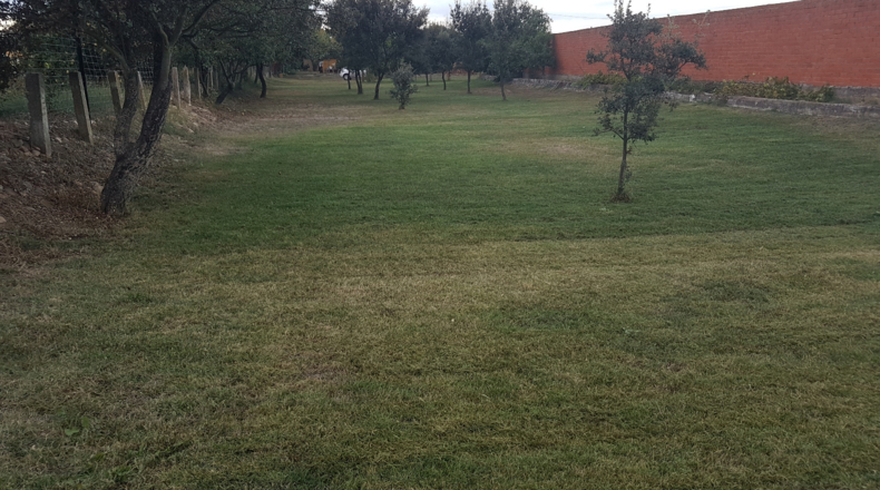 Salamanca - Ciudad Rodrigo - 3500m2