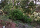 Parcel·la urbanitzable en venda a la Xarel.lo, Corbera de Llobregat, ref.: TR44341 foto
