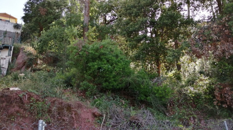 Barcelona - Corbera de Llobregat - 532m2
