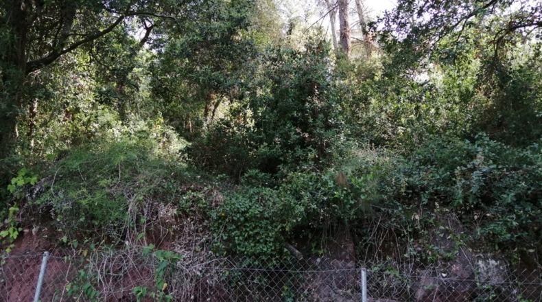 Barcelona - Corbera de Llobregat - 532m2
