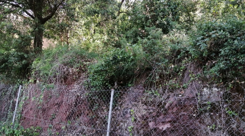Barcelona - Corbera de Llobregat - 532m2