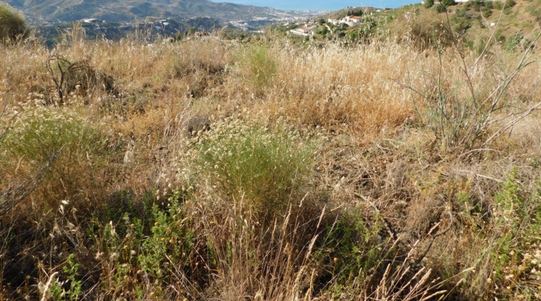 Málaga - Torrox - 6686m2