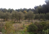 Terreno no urbanizable en venta en la hornillo, Alozaina, ref: TR44390 foto