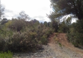 Terreno no urbanizable en venta en la hornillo, Alozaina, ref: TR44390 foto