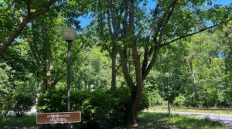 Guipúzcoa - Fuenterrabía - 4000m2