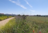 Дом с участком на продажу в городе El Puente del Arzobispo Фото