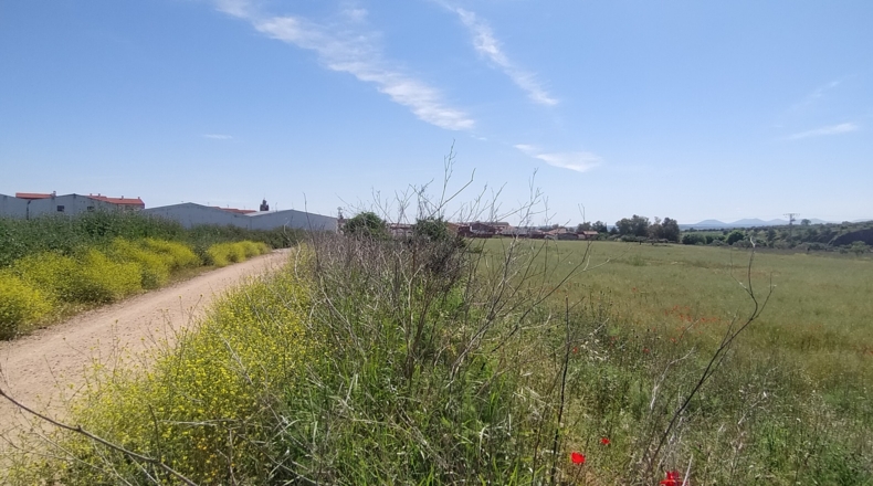Toledo - El Puente del Arzobispo - 36000m2