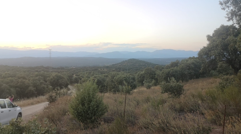 Toledo - Mejorada - 64457m2