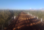 Land with solar installation for sale on Ctra Villafranca, Villacañas, ref: TR44413 photo