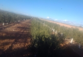 Land with solar installation for sale on Ctra Villafranca, Villacañas, ref: TR44413 photo