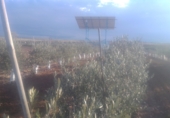 Land with solar installation for sale on Ctra Villafranca, Villacañas, ref: TR44413 photo