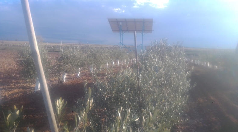 Toledo - Villacañas - 85000m2