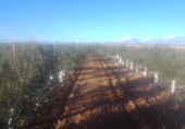 Land with solar installation for sale on Ctra Villafranca, Villacañas, ref: TR44413 photo