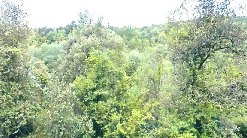 Gerona - Beget - 700000m2