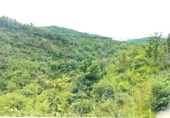Parcela urbanizable en venta en la beget, Beget, ref: TR44494 foto