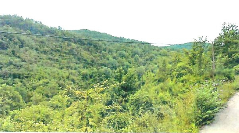 Gerona - Beget - 700000m2