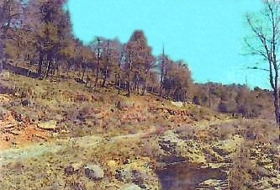 Foto 9