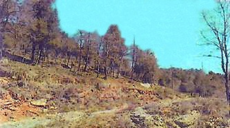 Gerona - Beget - 700000m2