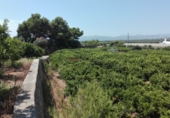 Finca rústica en venda a la CV-189, Castelló de la Plana, ref.: TR44495 foto